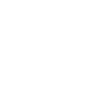 Nina Spirits Logo