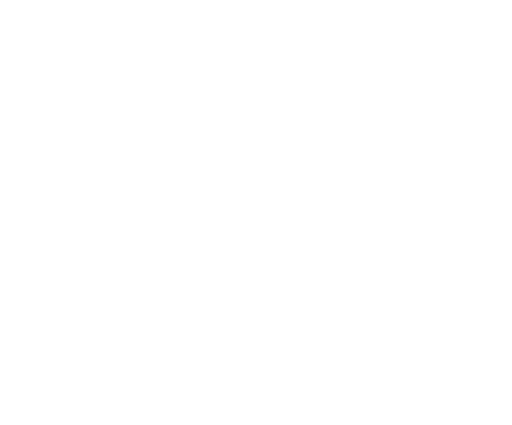 logo-nina-spirits-blanc2